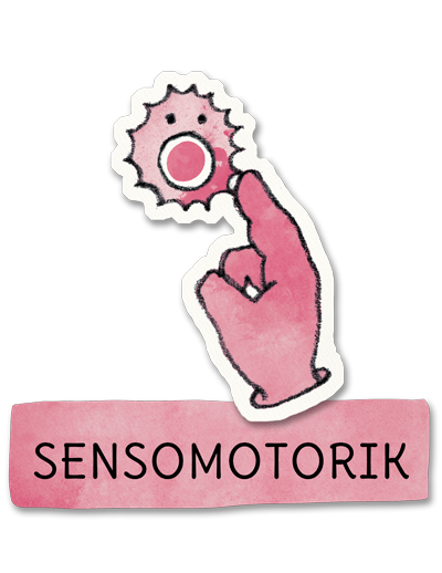 Sensomotorik