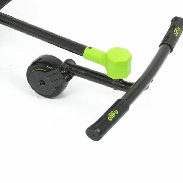 Olifu bikez Racer Snake Detail