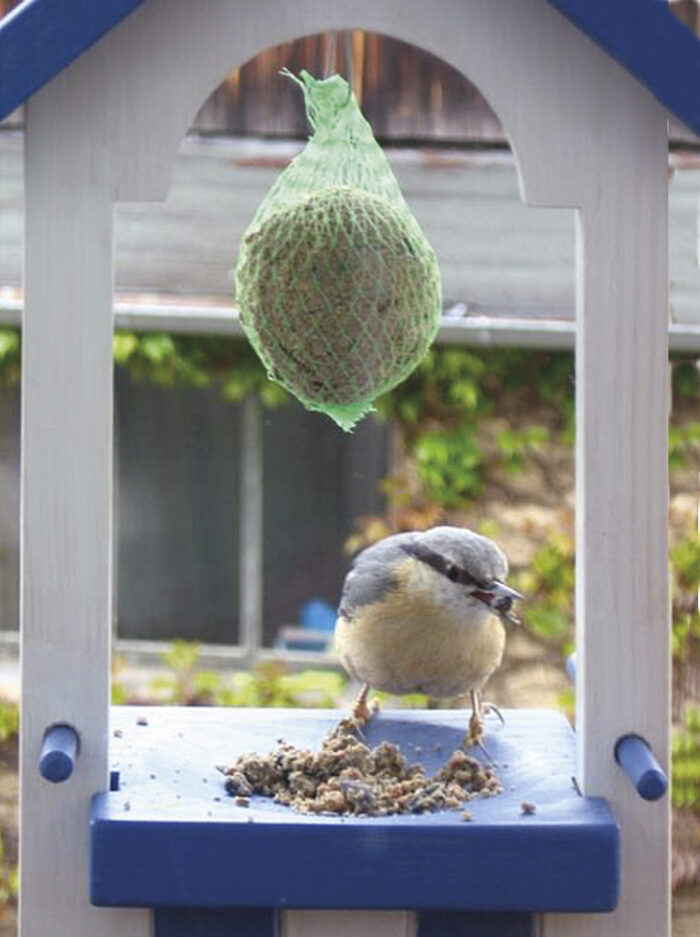Vogelstation