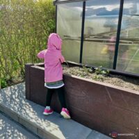 Kind giesst Pflanzen im Recycling Hochbeet