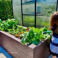 Kind giesst Pflanzen im Recycling Hochbeet