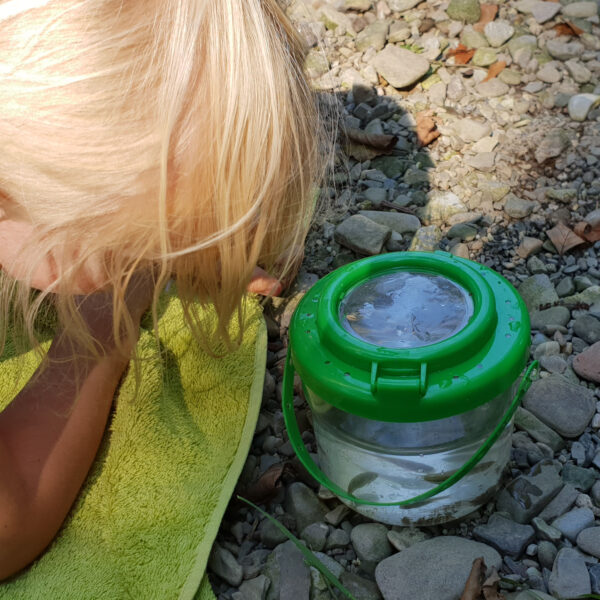 Kind beobachtet kleine Fische in Becherlupe