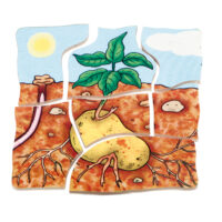 Lagenpuzzle KARTOFFEL Holzpuzzle für Kinder