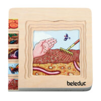 Lagenpuzzle KAROTTE – Bild 5