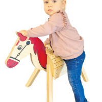 Kind mit Holzpony